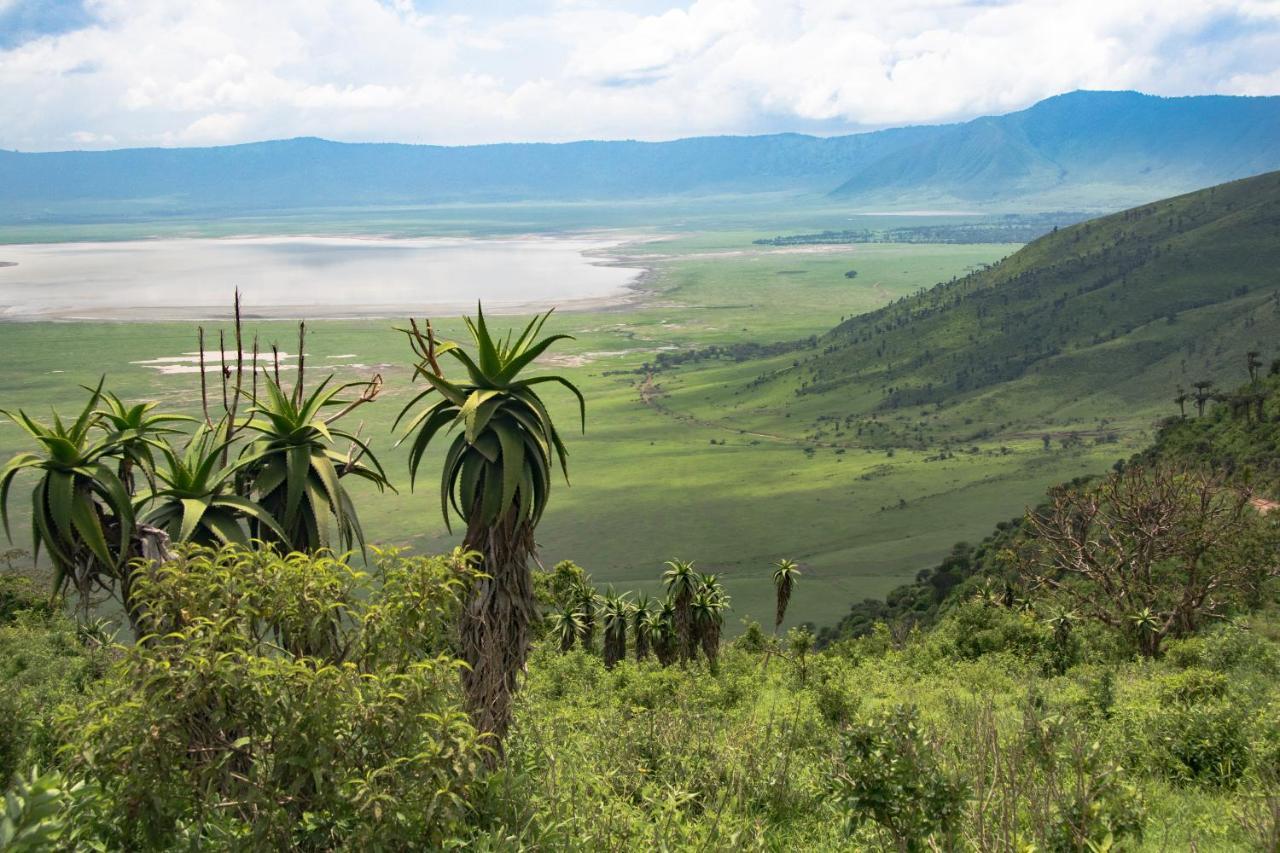 Africa Safari South Serengeti Ndutu Ngorongoro Sinoni Eksteriør billede