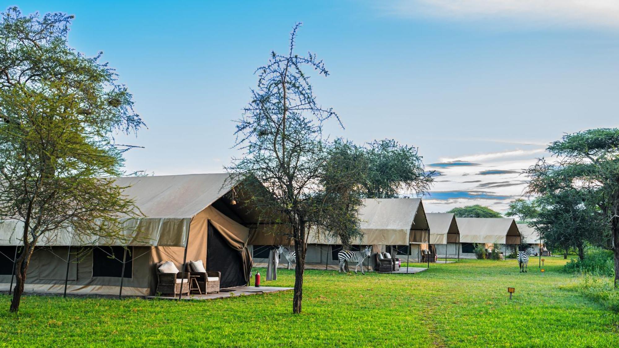 Africa Safari South Serengeti Ndutu Ngorongoro Sinoni Eksteriør billede