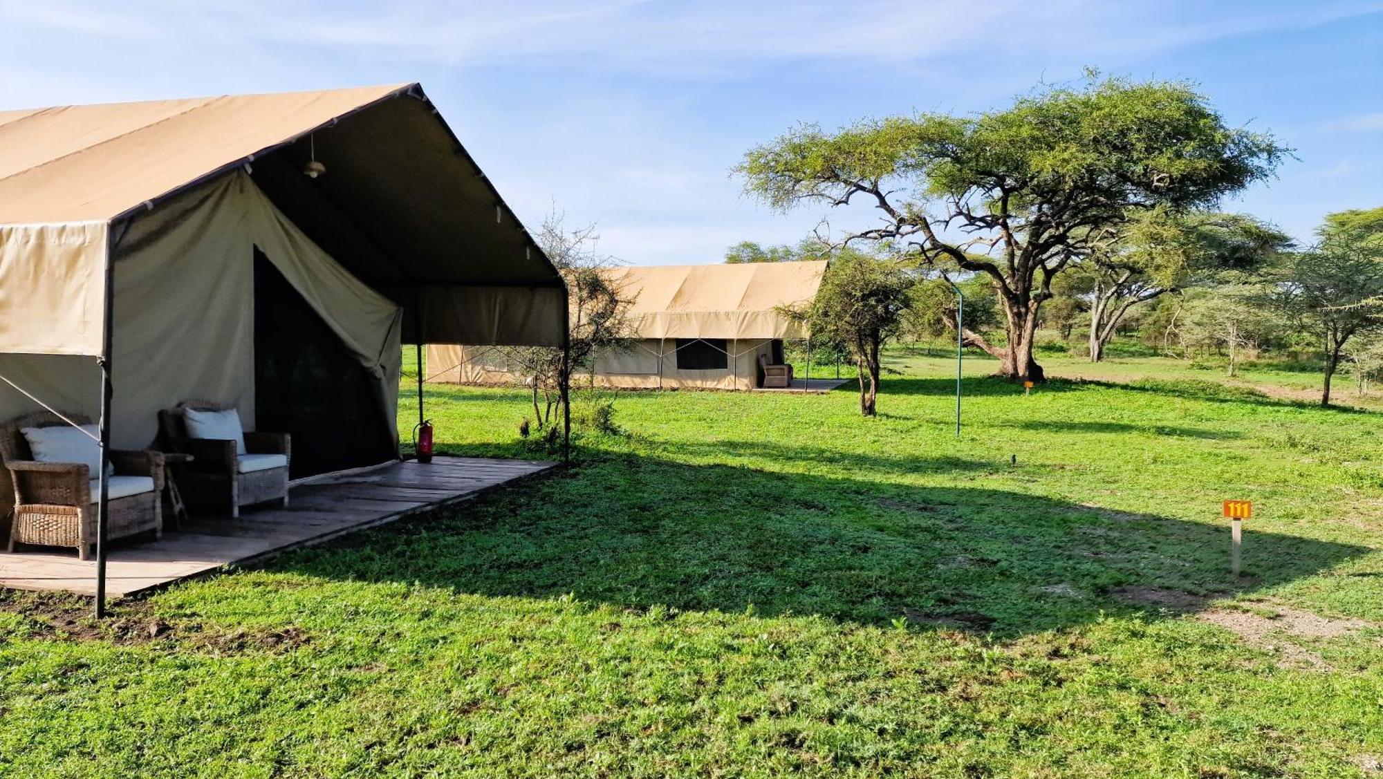 Africa Safari South Serengeti Ndutu Ngorongoro Sinoni Eksteriør billede