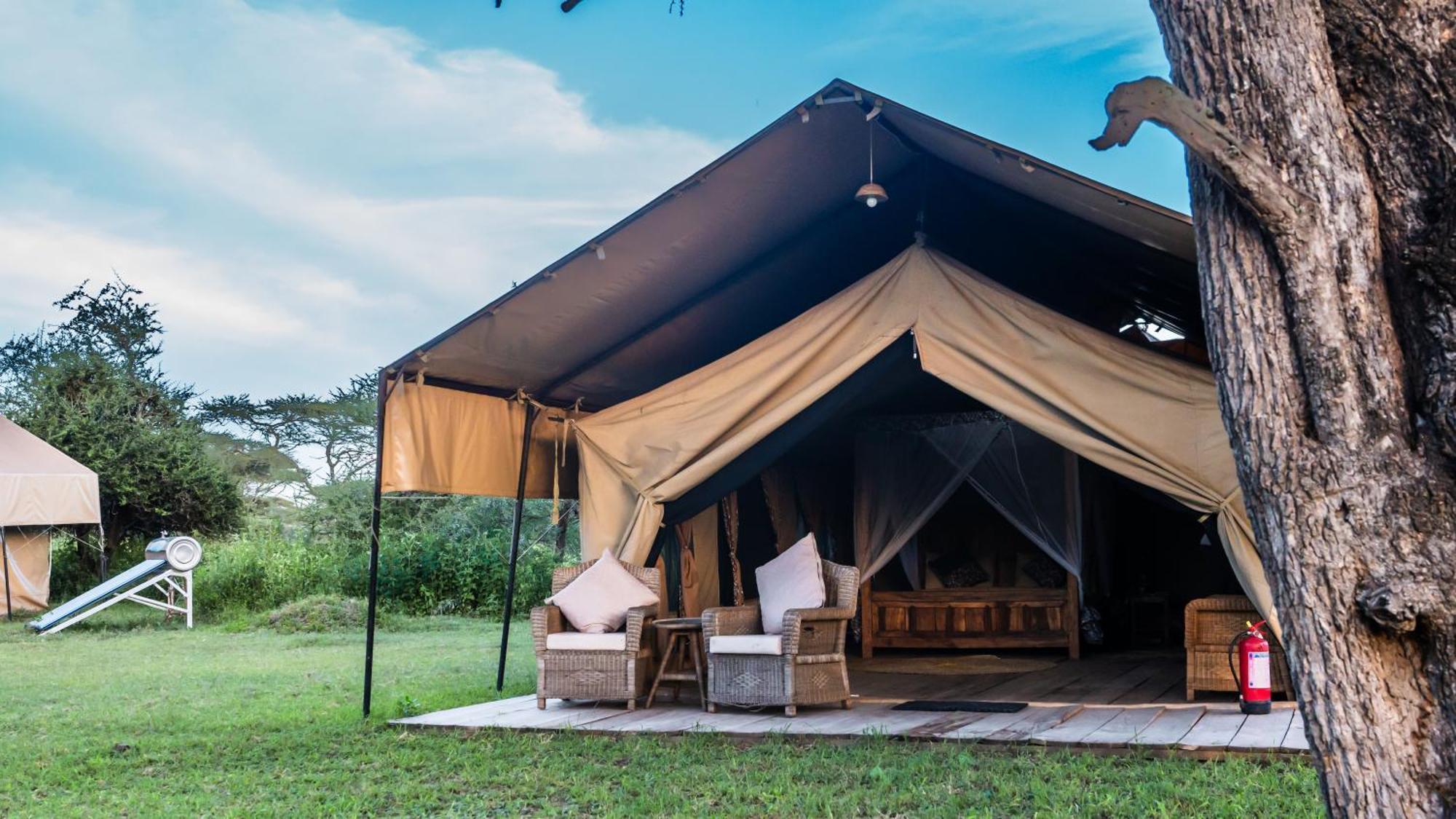 Africa Safari South Serengeti Ndutu Ngorongoro Sinoni Eksteriør billede