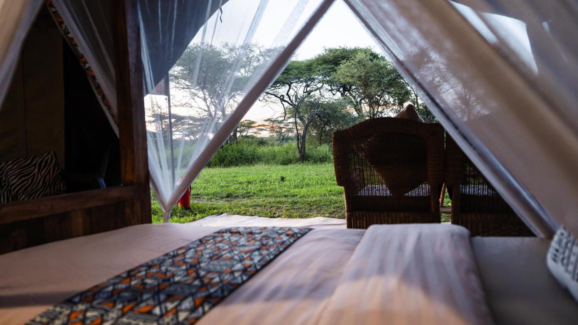 Africa Safari South Serengeti Ndutu Ngorongoro Sinoni Eksteriør billede