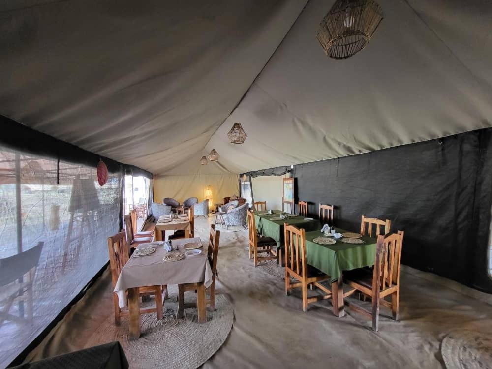 Africa Safari South Serengeti Ndutu Ngorongoro Sinoni Eksteriør billede